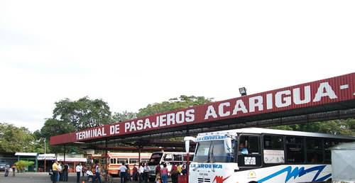 Terminales municipales